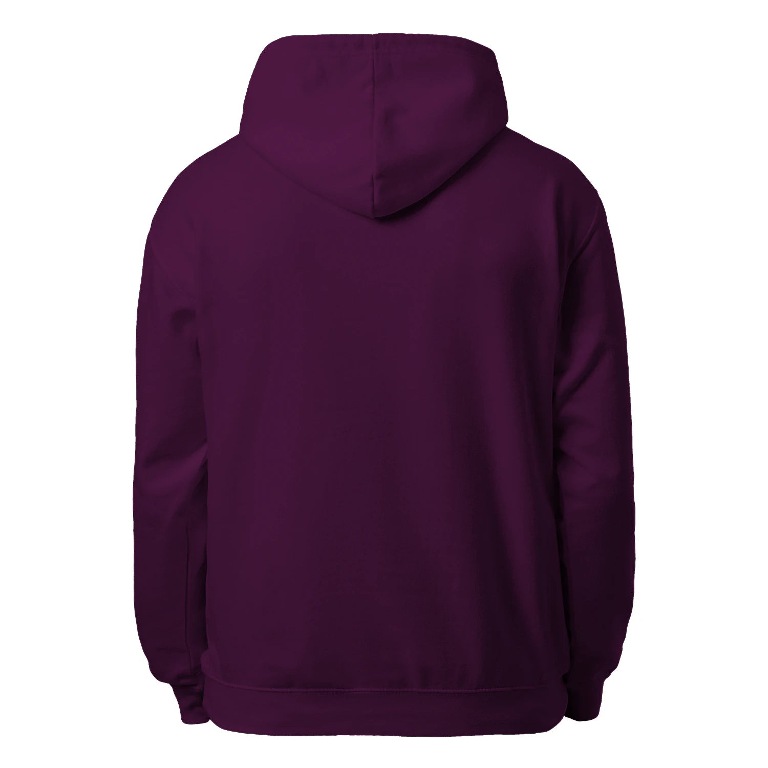 American Flag Pickleball Men’s Hoodie – Funny Gift