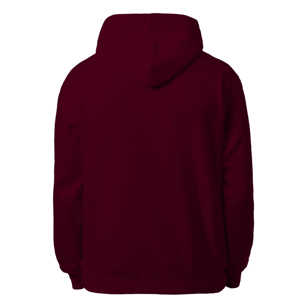 American Flag Pickleball Men’s Hoodie – Funny Gift