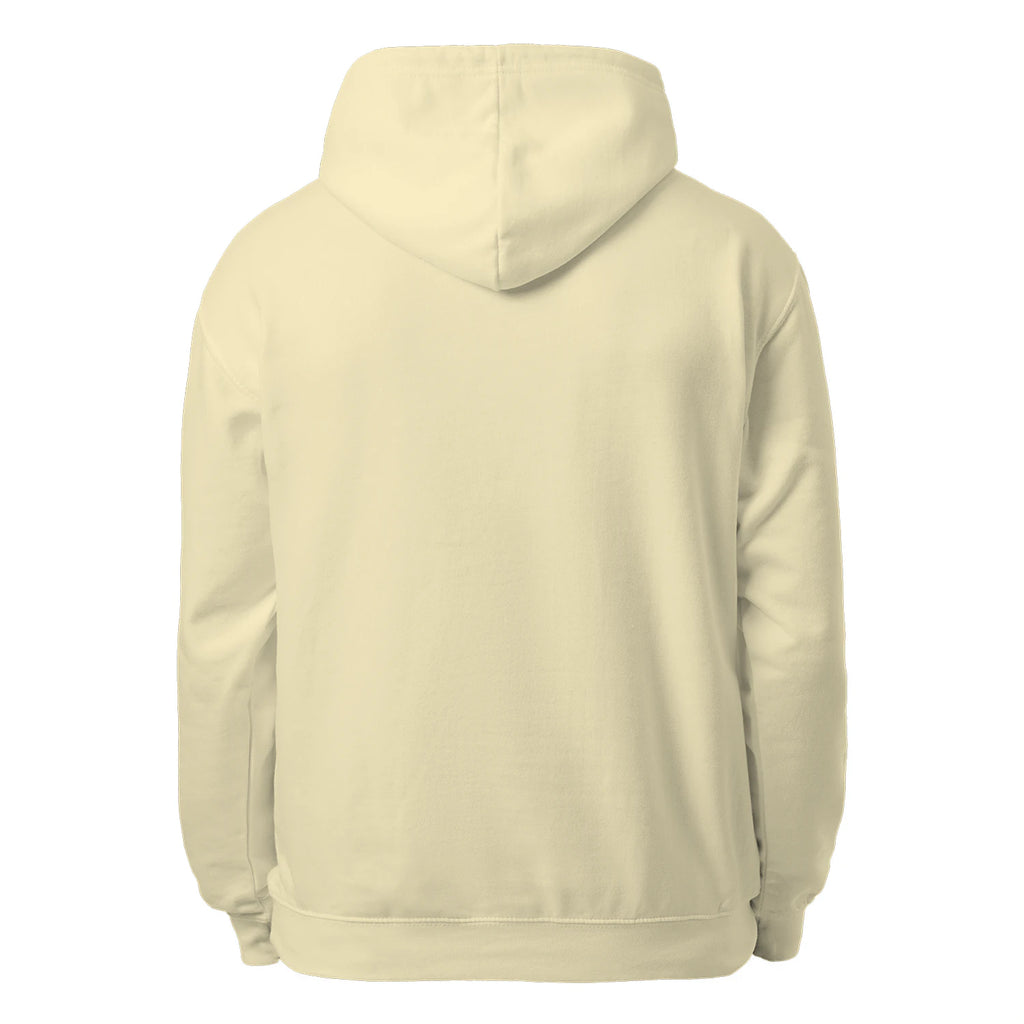 American Flag Pickleball Men’s Hoodie – Funny Gift