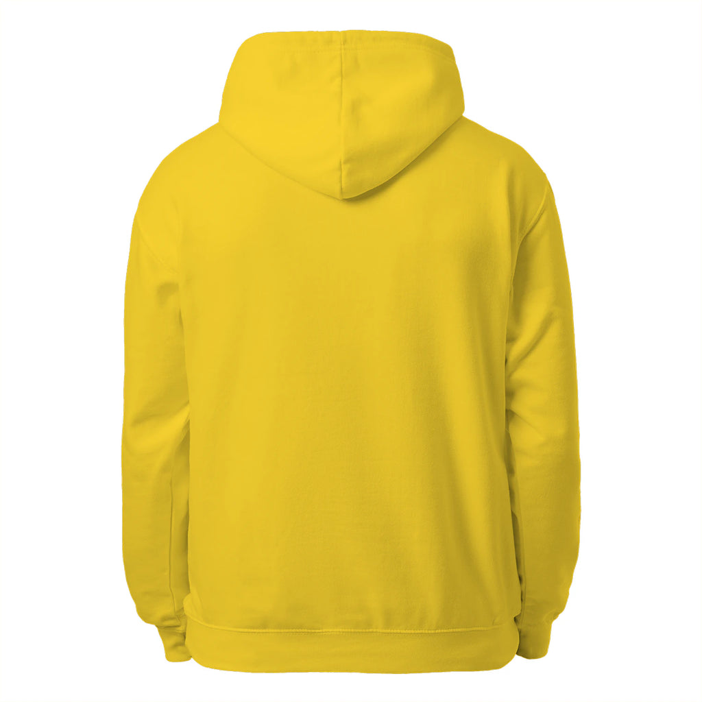 American Flag Pickleball Men’s Hoodie – Funny Gift