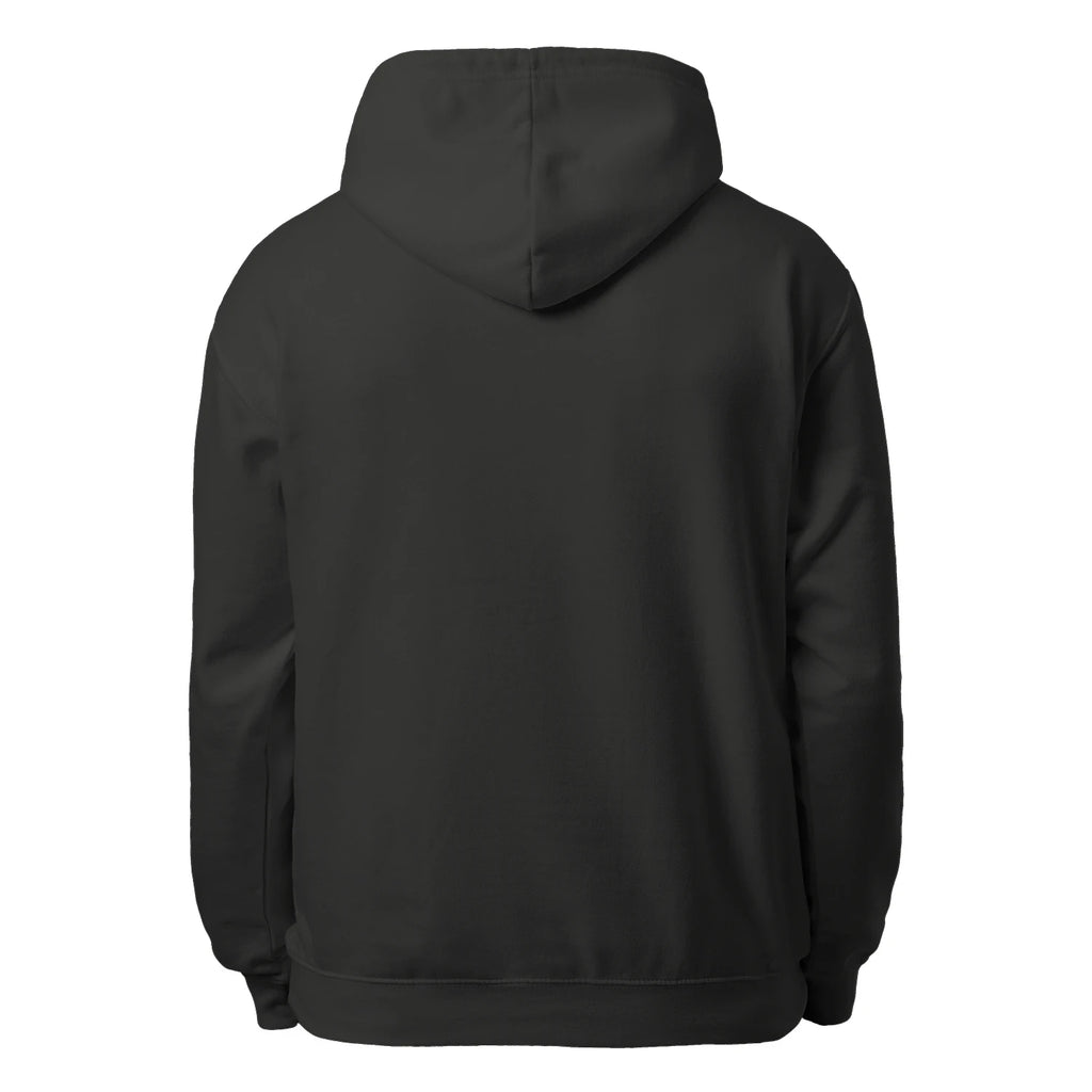 American Flag Pickleball Men’s Hoodie – Funny Gift